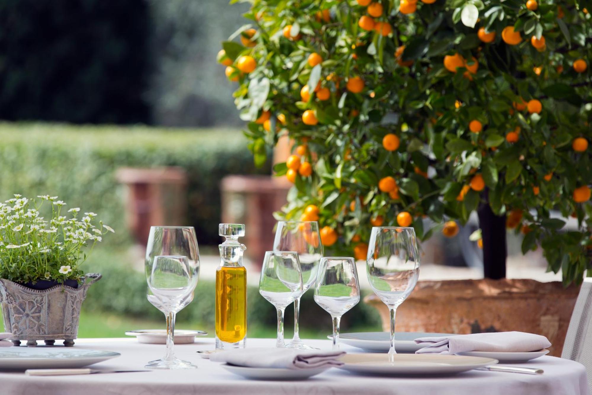 Bastide Saint Antoine - Relais & Chateaux Γκρας Εξωτερικό φωτογραφία